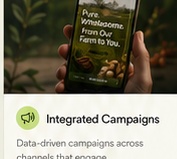 Integrated marketing campaigns