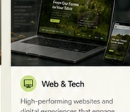 Web and technology services